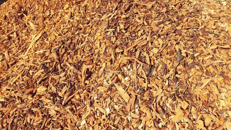 Delivered Wood Chips in Landscape