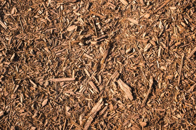 Wood Chip Quality